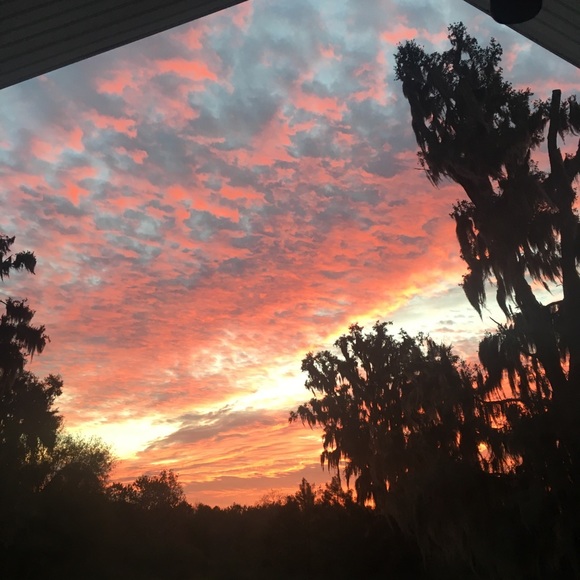 Meet your Posher, Patricia - Picture 2 of 4